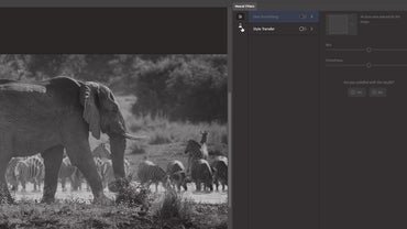 Meilleur logiciel de retouche photo 2021 : Photoshop, Procreate et plus