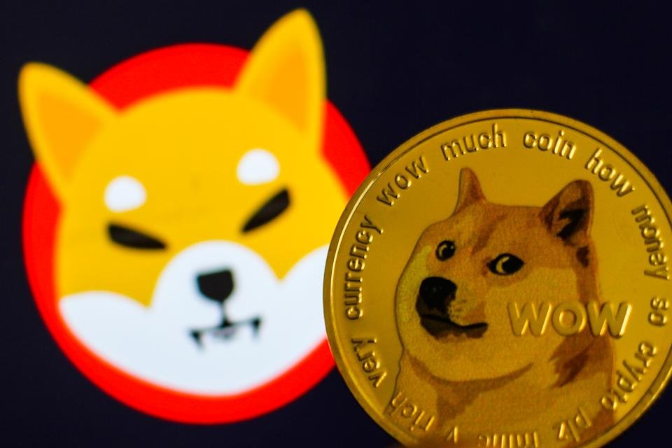 Shiba Inus ou calmars ?  Les investisseurs de la crypto surfer sur le dernier engouement, attisant le débat sur la bulle