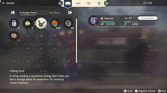 1648652992 17 Tips to Help You Complete Your Pokmon Legends Arceus