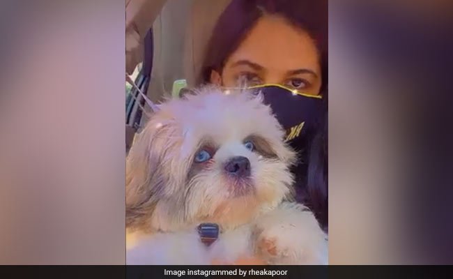 Les adorables chiens de compagnie de Rhea Kapoor ne sont Les adorables chiens de compagnie de Rhea Kapoor ne sont