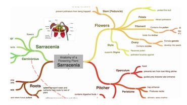 best-mind-mapping-software.jpg