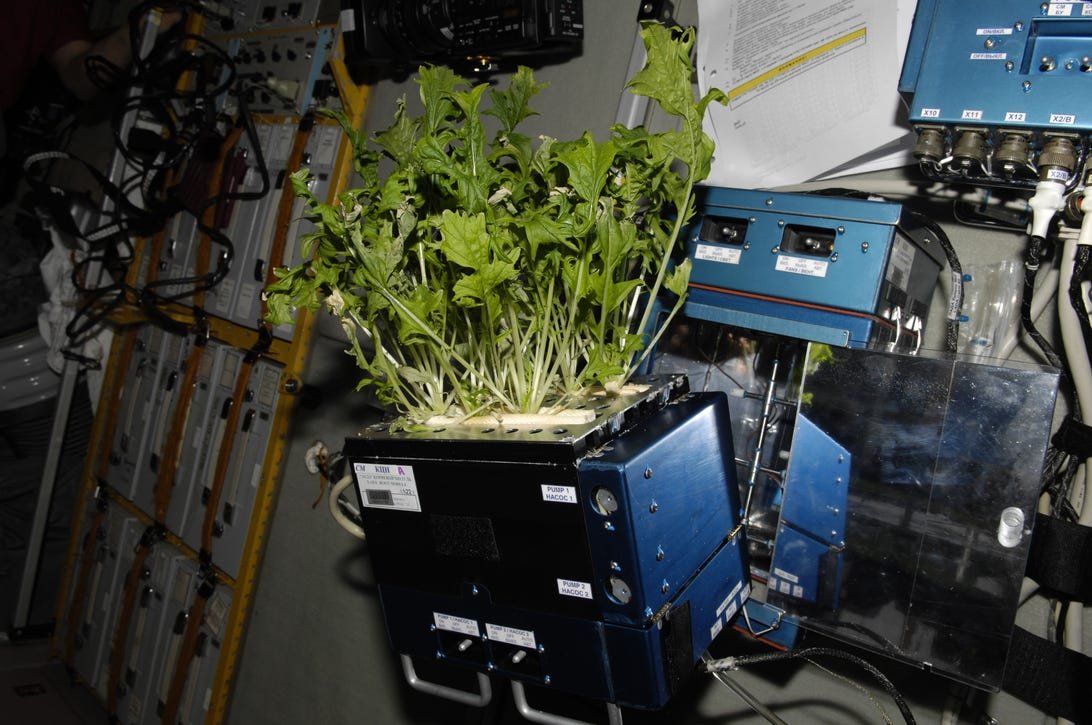 462887main_iss022e097231.jpg