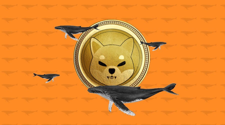 Shiba Inu est bondé de baleines.  Qu’attend la crypto au deuxième trimestre ?