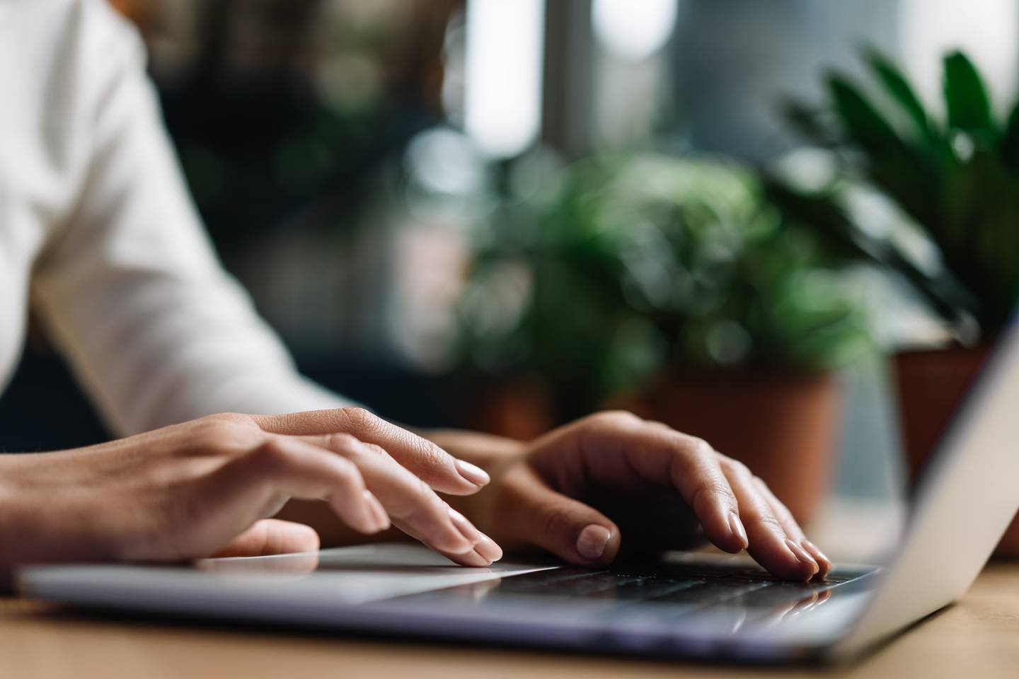Internet regorge dinformations sur le jardinage Alors que nous nous