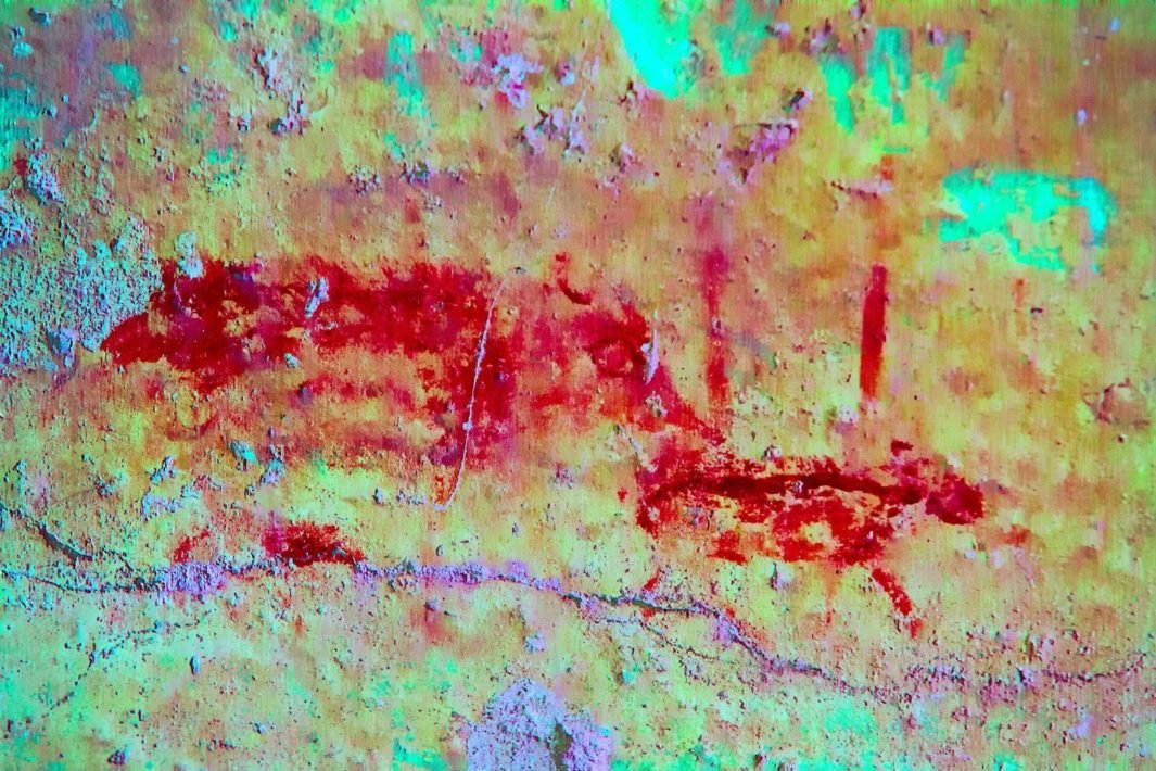 Une image modifiée numériquement sur un mur de tombe révèle deux cochons entourés de taches vert vif et violet clair.