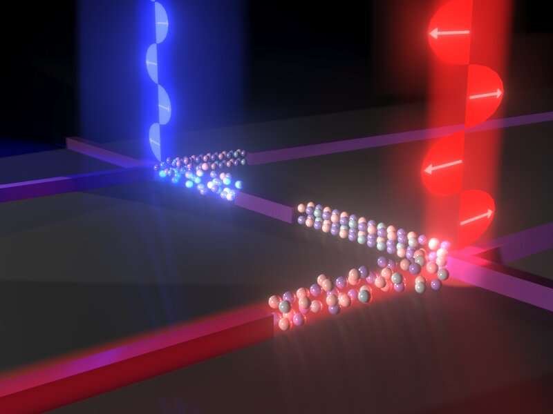 Des nanofils hybrides qui peuvent commuter sélectivement les dispositifs en fonction de la polarisation. Crédit : June Sang Lee, Département des matériaux, Université d'Oxford Des chercheurs développent le premier processeur de calcul photonique ultra-rapide au monde utilisant la polarisation