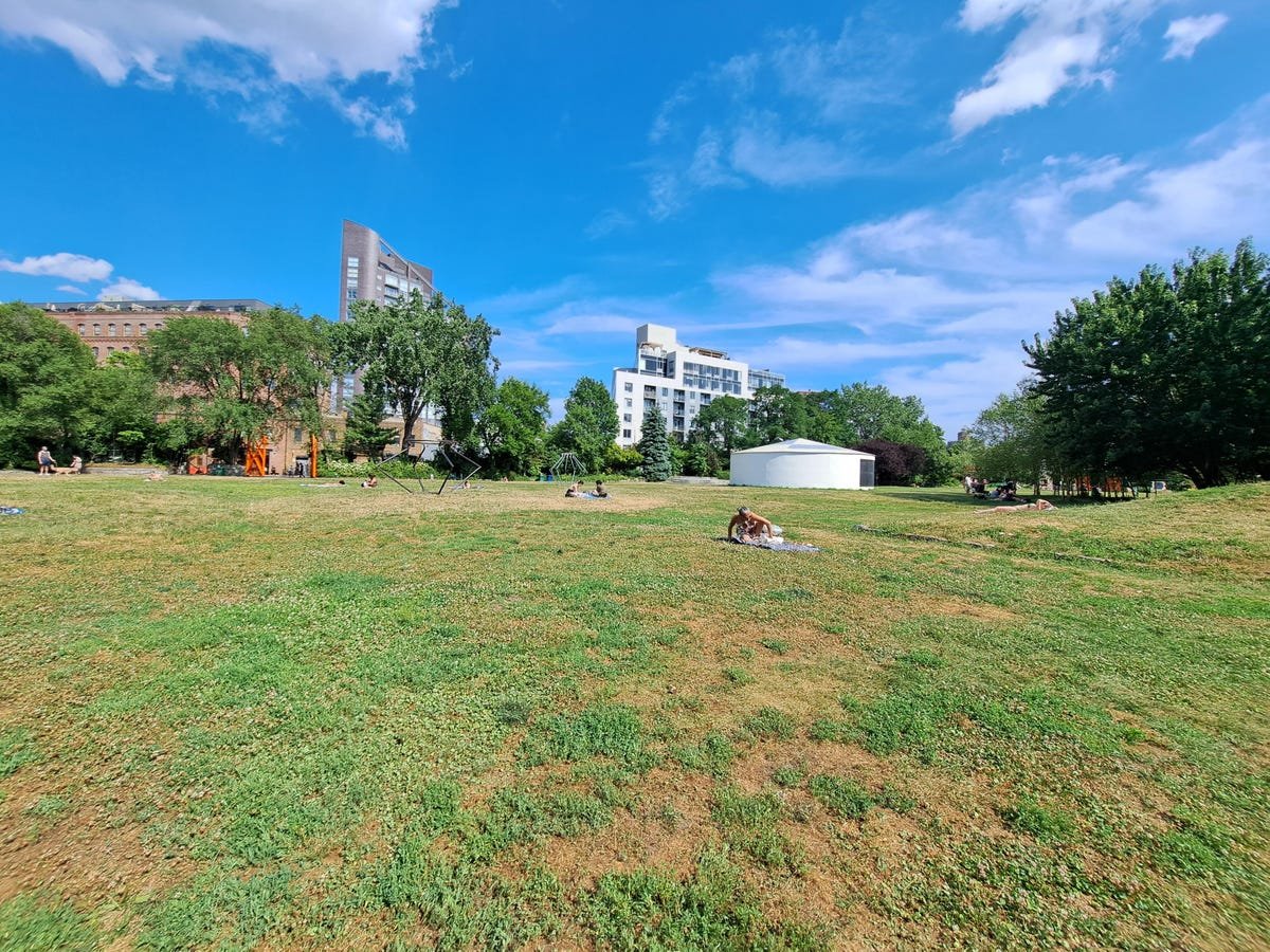 Google Pixel 6A Review: The Best Android Phone Under $500 22 A photo of a park taken with the Galaxy A53's ultrawide lens