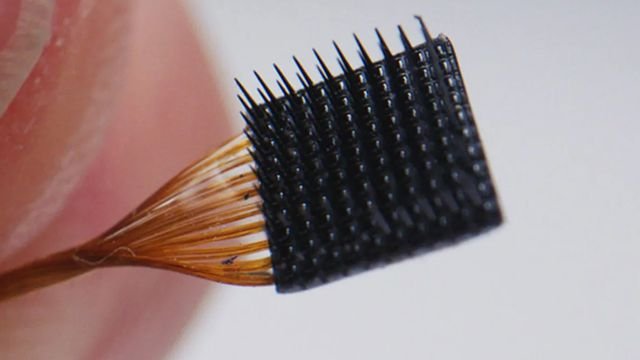 Les avancées logicielles alimentant la prochaine génération d’implants cérébraux