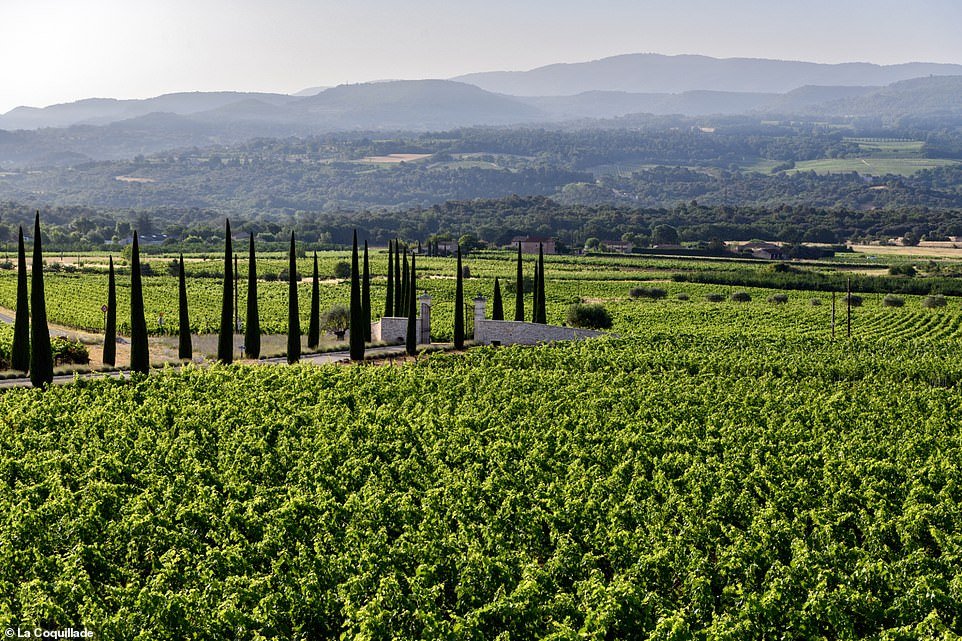Mark s'arrête pour un déjeuner léger à Aureto, le vignoble de l'hôtel (photo ci-dessus)