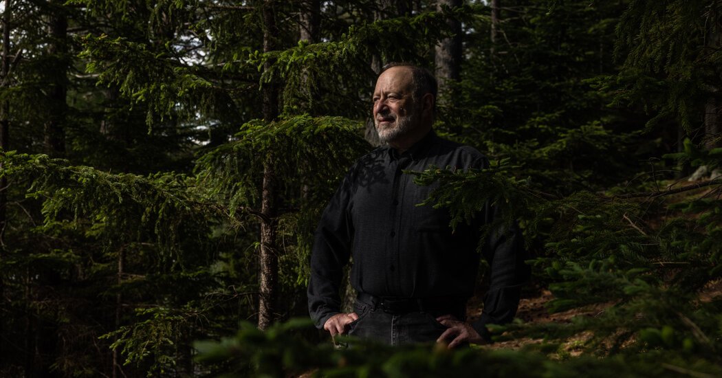 Comment les logiciels étouffent la concurrence et ralentissent l’innovation