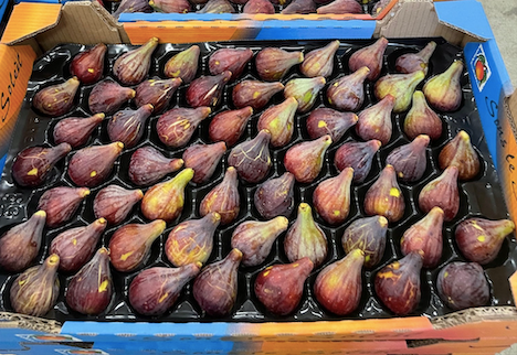 La production de figues est en plein essor en France