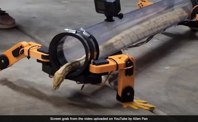 Regardez: YouTuber donne aux serpents des «jambes robotiques» pour marcher, Internet surpris Regardez: YouTuber donne aux serpents des «jambes robotiques» pour marcher, Internet surpris