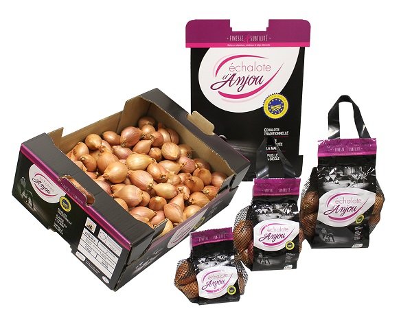 1662120751 187 France marche attentiste et commercialisation coherente pour lIGP Echalote