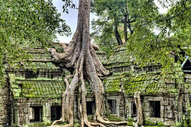 1662275716 793 16 Expert Tips for Taking Stunning Travel Photos on Your
