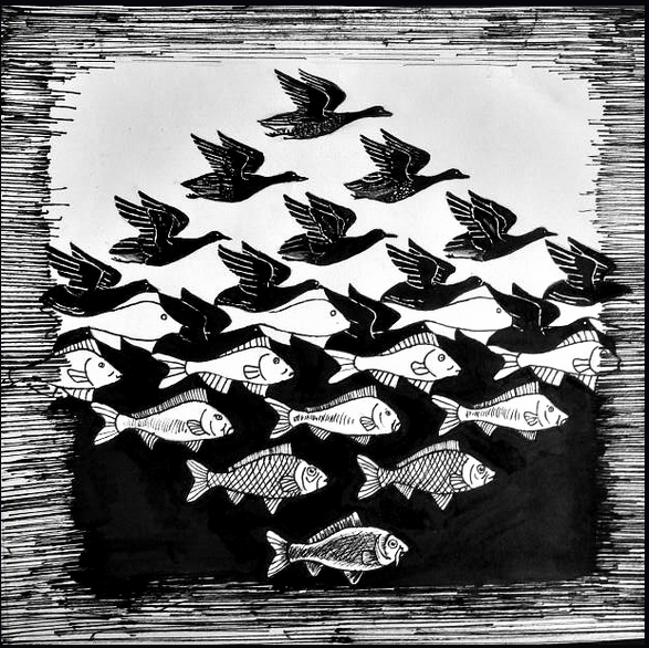 MC Escher, Ciel et eau. La société MC Escher, Pays-Bas ; avec l'aimable autorisation de Michael S. Sachs.