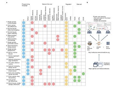 1663804166 178 Smart software untangles gene regulation in cells