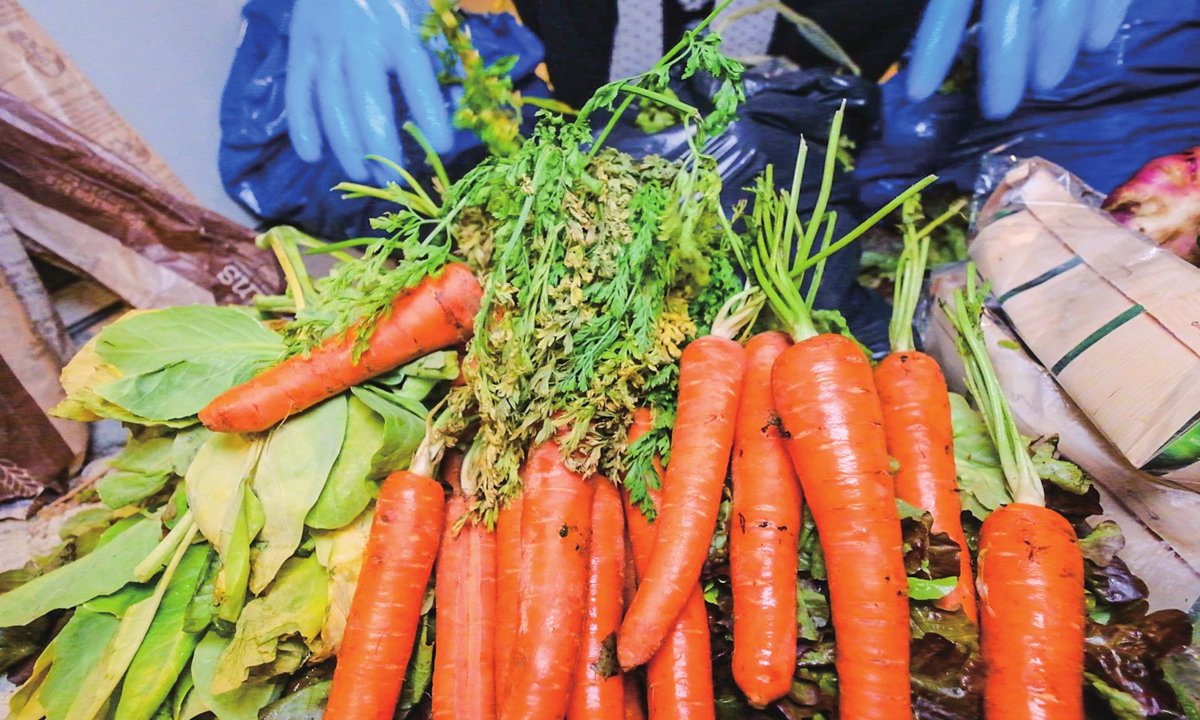 Des carottes gaspillées mais encore comestibles Yooupi retrouvées dans une benne Photo : Courtesy of Yooupi