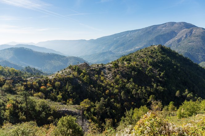 Des empreintes de reptiles vieilles de 242 millions d’années découvertes dans le sud-est de la France