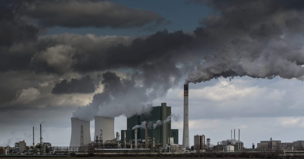 L’UE doit cesser de brûler des arbres pour produire des énergies renouvelables