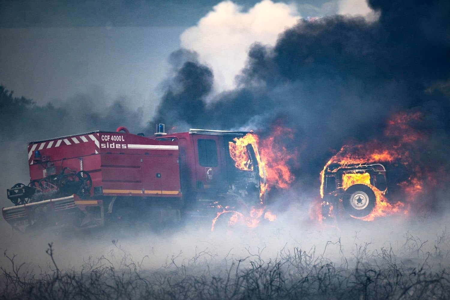 La vérité qui dérange sur les incendies de forêt en France |  Le spectateur