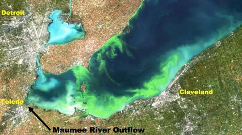 Cette image satellite montre une prolifération d'algues nuisibles au-dessus du lac Érié en octobre 2011. Crédit : Florida Institute of Technology L'apprentissage automatique utilisant des données sur les modèles climatiques peut aider à prédire plus tôt les proliférations d'algues nuisibles
