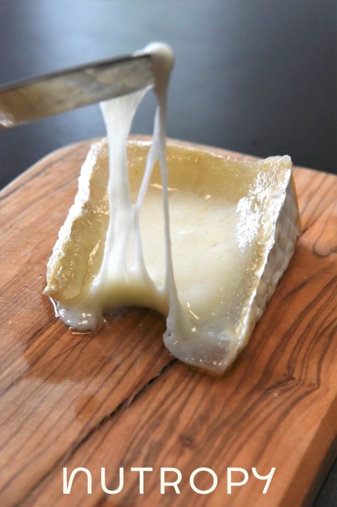 Le français Nutropy lève 2 millions d’euros pour « Next Generation of Cheese » – vegconomist – the vegan business magazine