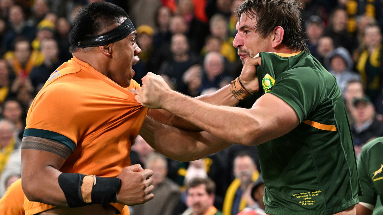 Les Springboks croient à nouveau après avoir dominé la victoire des Wallabies : Kolisi