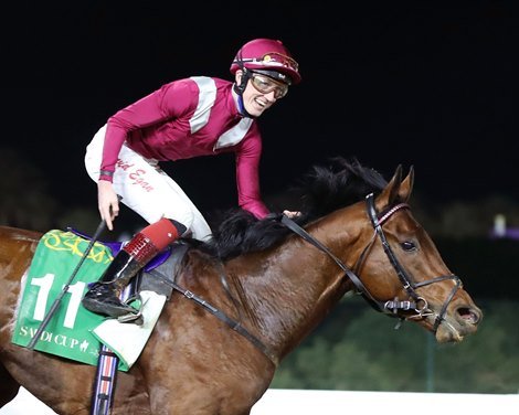Mishriff, vainqueur de la Coupe d’Arabie saoudite en 21, sera étalon en France en 23