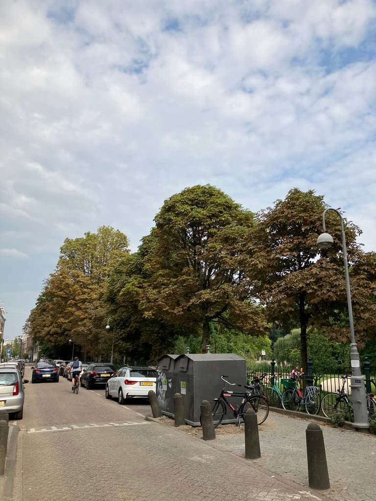 "Nos poumons ont brûlé": comment les Européens ont vu le changement climatique en août 1 Nos poumons ont brule comment les Europeens ont vu le