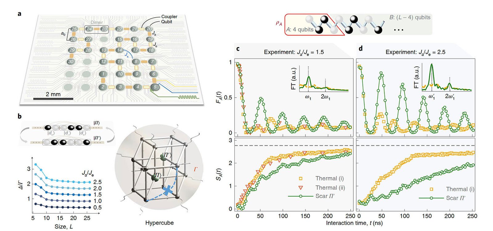 Des physiciens réalisent une percée dans l’informatique qubit