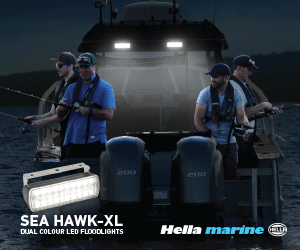 Projecteurs bicolores Hella - 300x250px - 002 gif