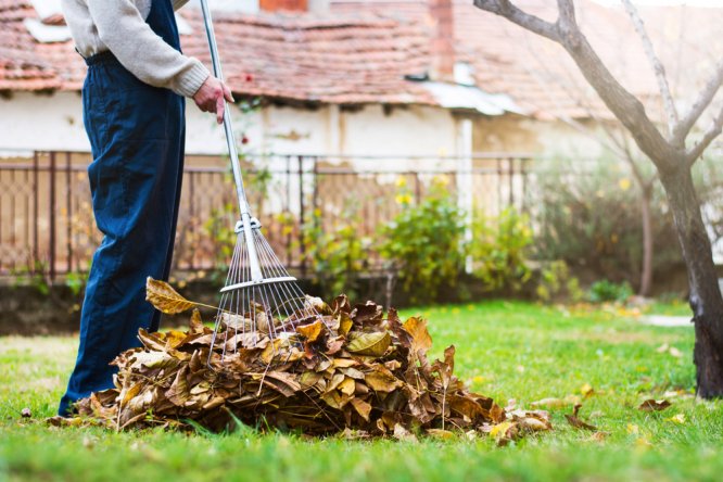 Feuilles d’automne : règles pour savoir quoi faire des déchets de jardin en France