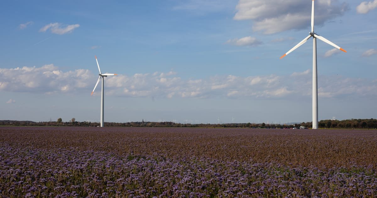 L’Europe adoptera-t-elle davantage d’énergies renouvelables pour combattre l’inflation ?