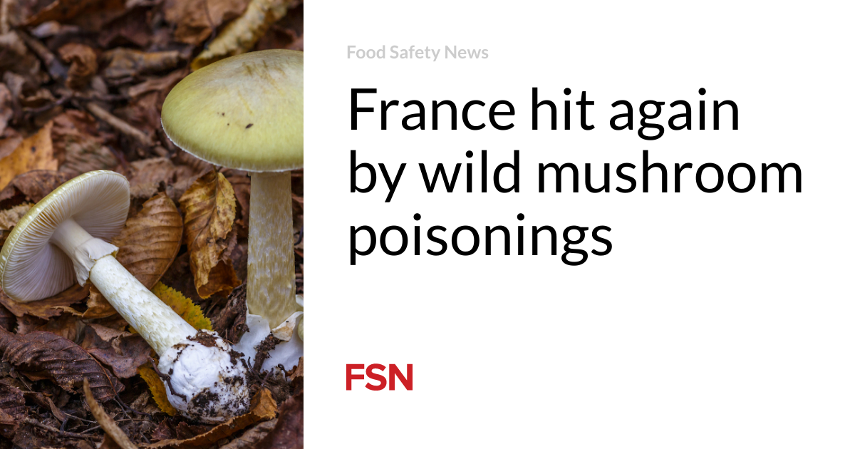 La France de nouveau frappée par des empoisonnements aux champignons sauvages