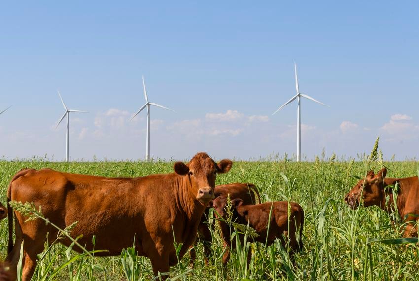 Le parc éolien McAdoo alimente la sous-station de Cottonwood près d'Afton, le 15 septembre 2022. Une sous-station plus petite alimente l'Helios.