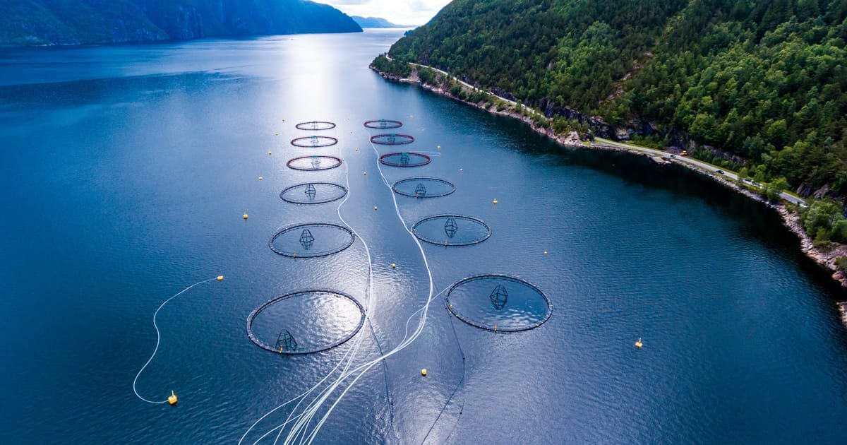 Pour faire de la COP27 un succès, le financement est la clé