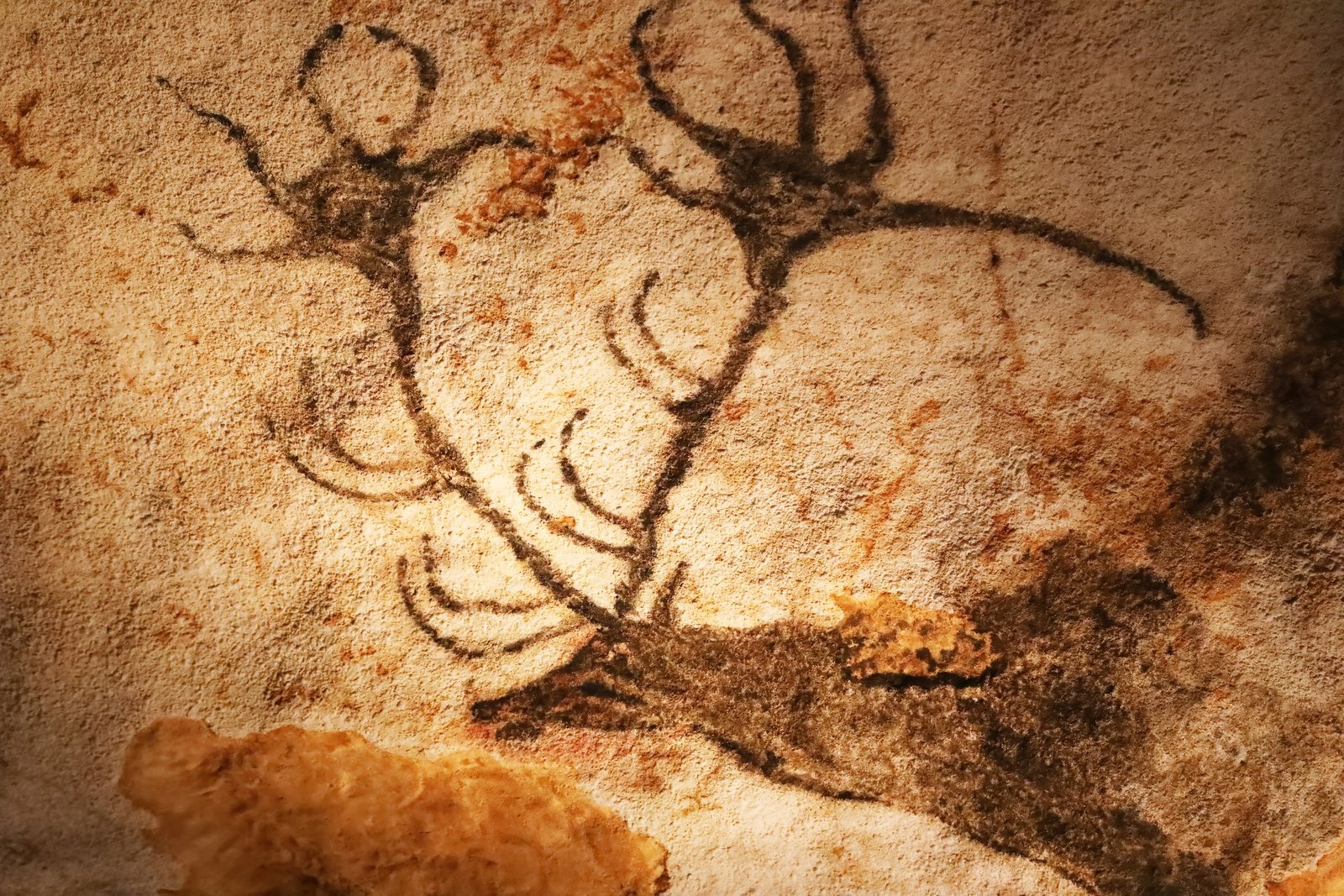 3 destinations d’art préhistorique incroyable en France – French Morning