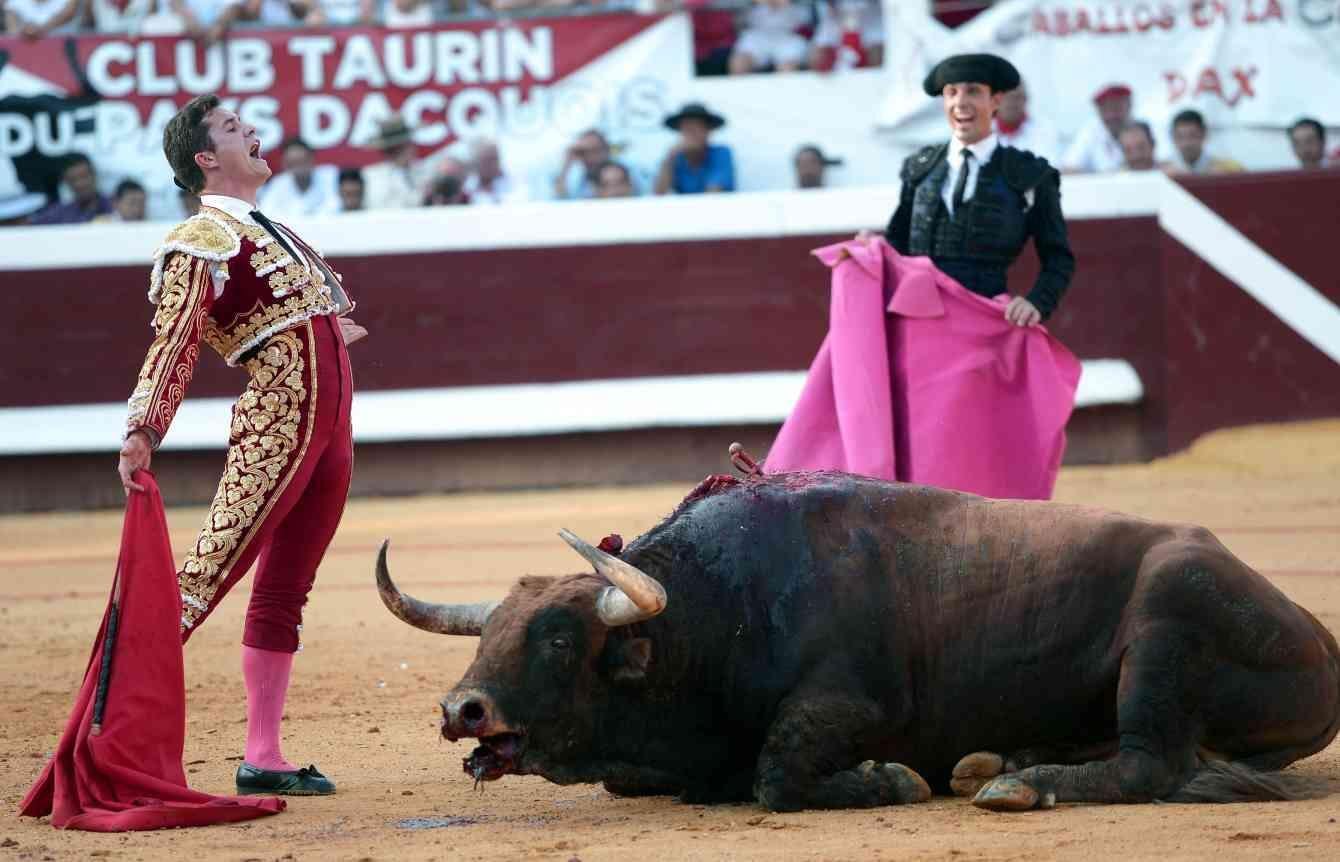 L'offre d'interdiction de la tauromachie abandonnée en France
