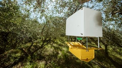 Trapview est l'un des nombreux systèmes automatisés de détection des nuisibles.