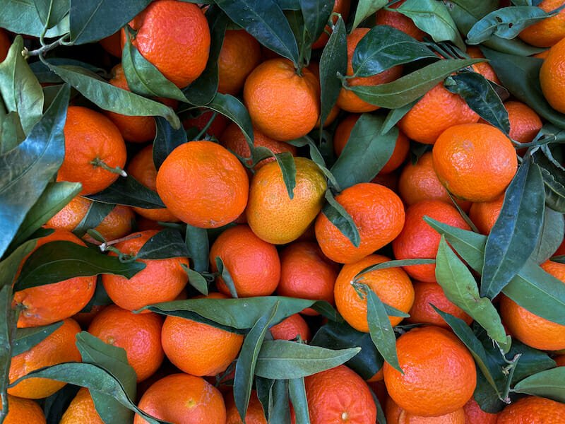 1671698700 58 The Best Bites of 2022 in Marseille France