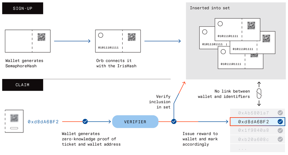 This diagram shows schematically the tasks involved in signing up for Worldcoin and also those involved in claiming a reward after the user\u2019s status is verified.