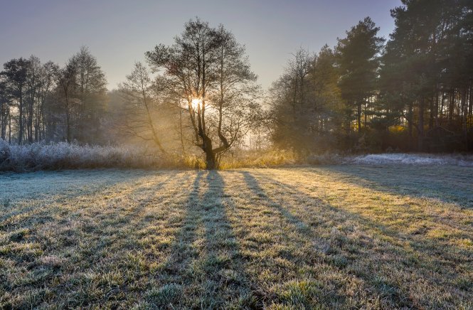 -3C attendus en France ce week-end, alertes neige et verglas émises