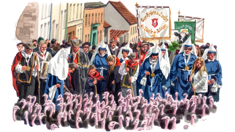 Carte postale de France… une grande journée pour les éleveurs de dindes de Licques