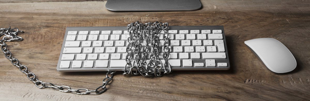 Comment les Américains pensent-ils qu’Internet a affecté la liberté d’expression ?  |  VousGov