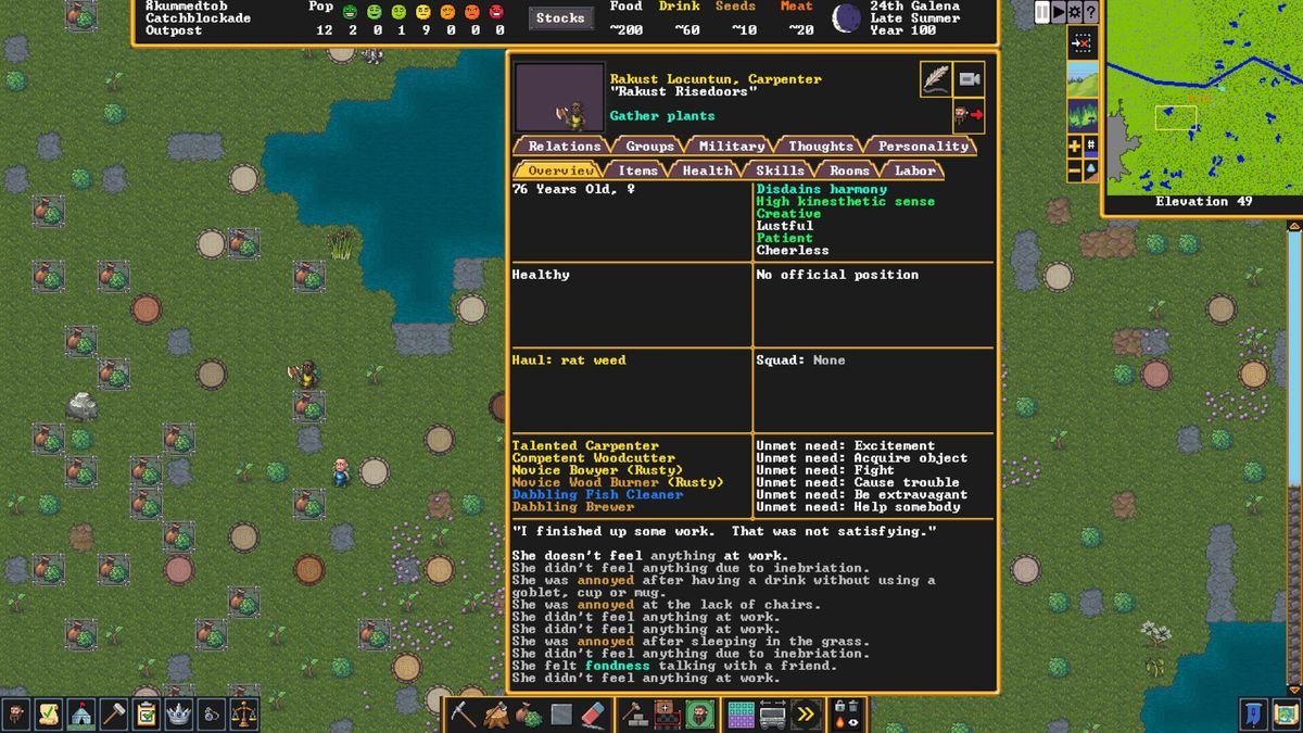 Un nain maître charpentier est sur le terrain dans Dwarf Fortress sur Steam - sa carte de personnage décrit sa vie professionnelle insatisfaisante