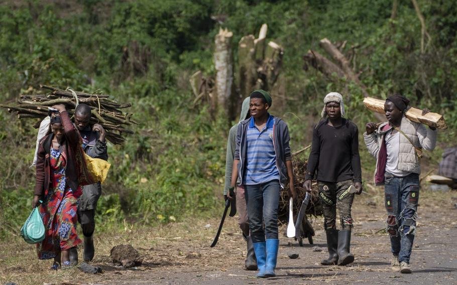 Pression croissante sur le Rwanda de la France, de l'Allemagne sur le Congo 1 Des gens transportent du bois pour faire du charbon de bois près de la ligne de front entre les rebelles du M23 et les forces gouvernementales des FARDC, au nord de Goma, en République démocratique du Congo, le 25 novembre 2022.