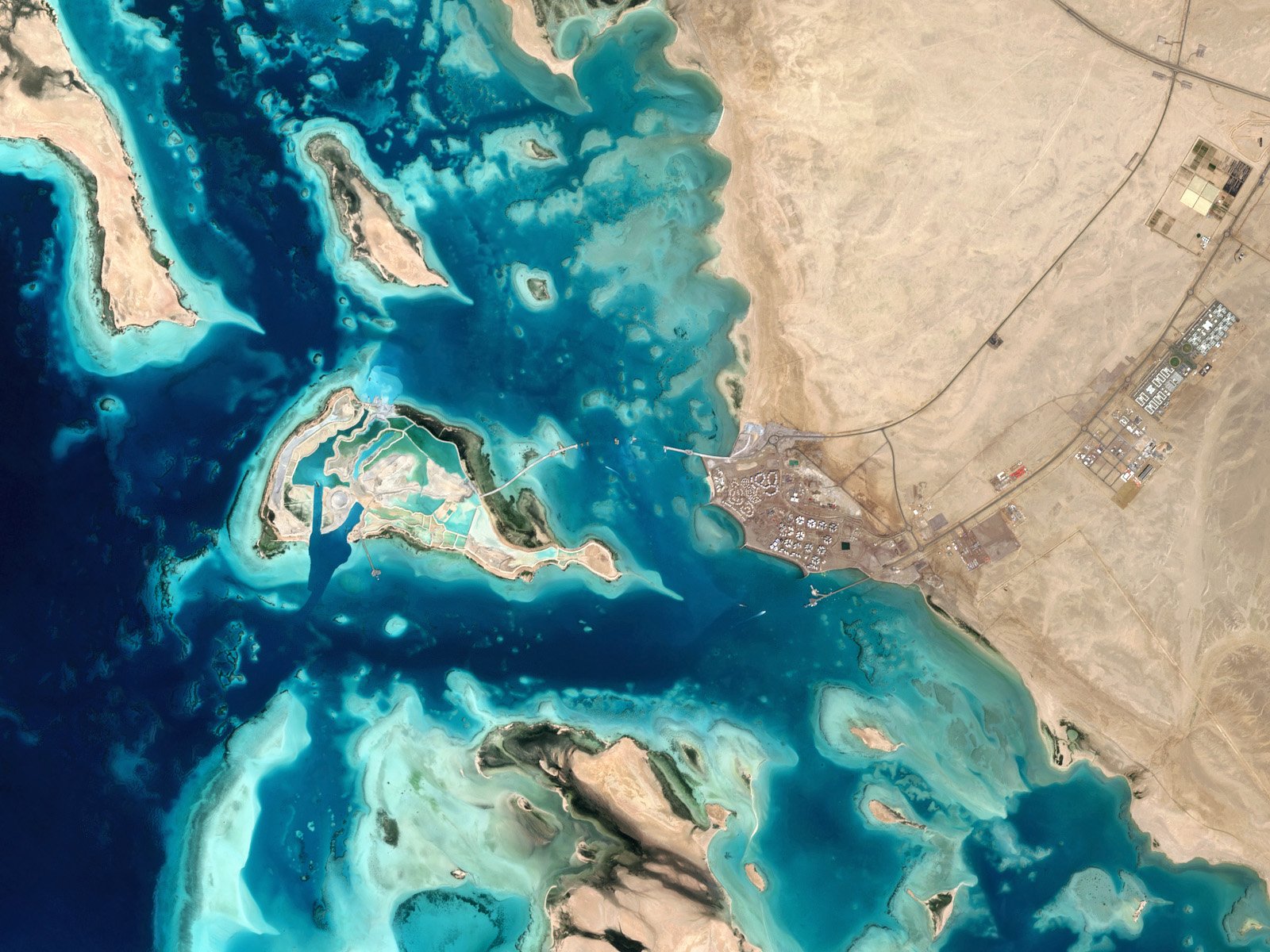1674099101 176 The parable of the last corals on Earth