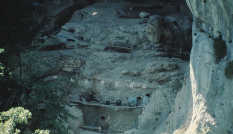 Une grotte rocheuse avec différentes couches de roche visibles et des sections de fouilles scientifiques en sont creusées. 