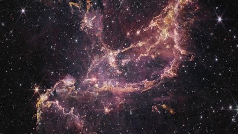 Une région de formation d'étoiles appelée NGC 346 est située dans la galaxie naine voisine appelée le petit nuage de Magellan.