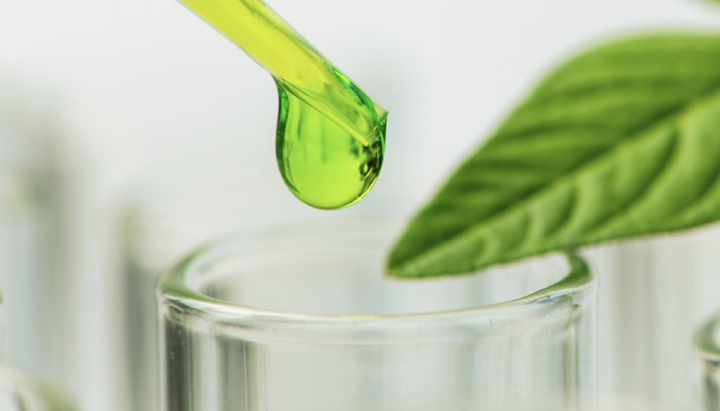 AFYREN recrute pour accompagner sa croissance en France et son expansion à l’international